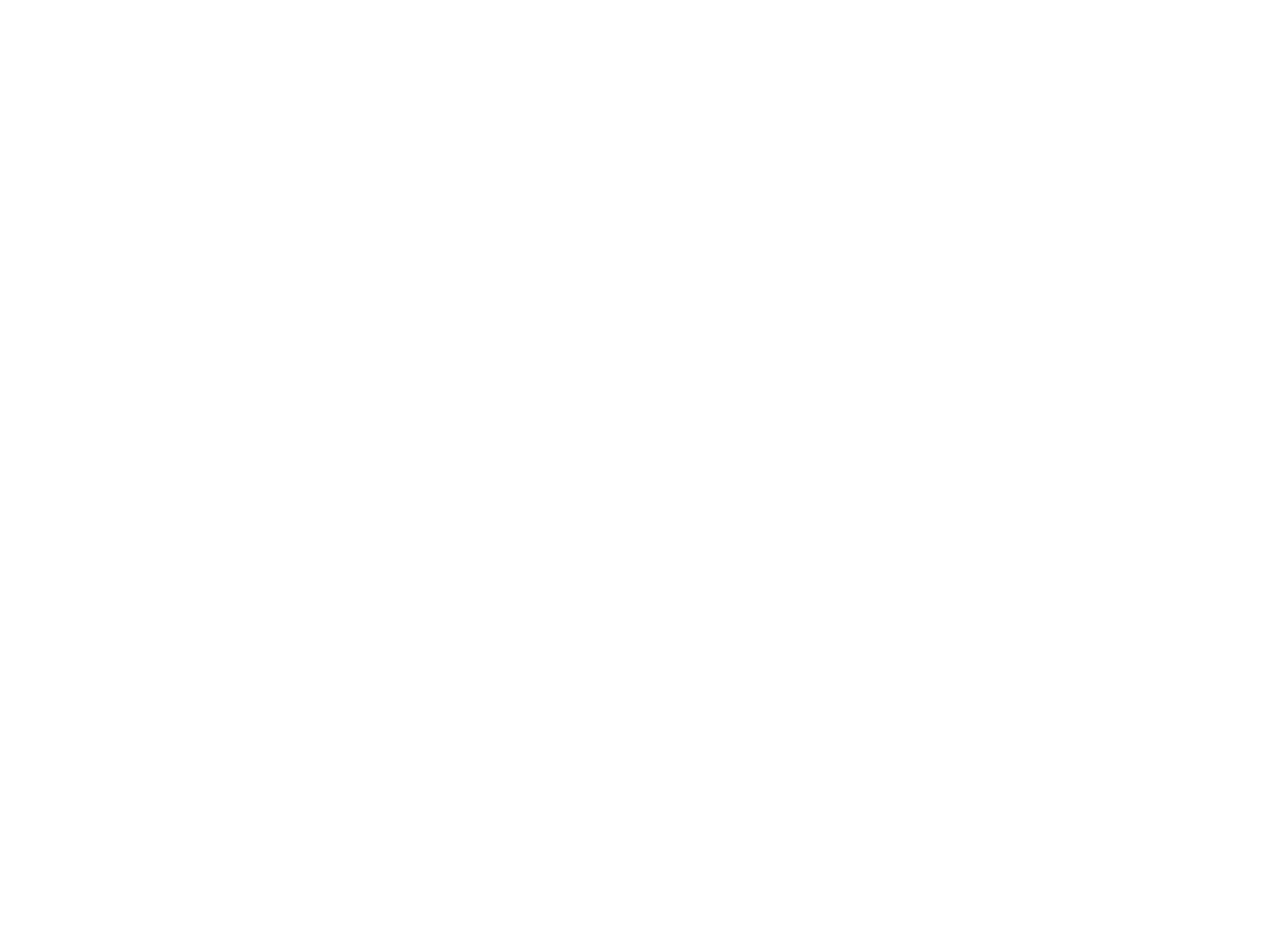CN30 logo